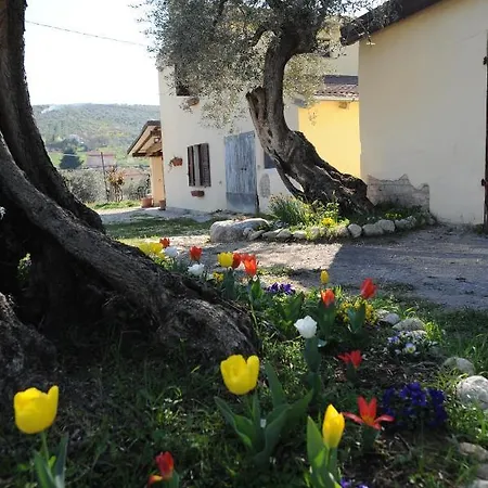 Bed & Breakfast Conca Del Pretore