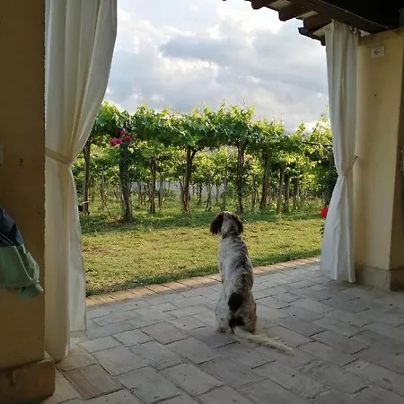 Conca Del Pretore Bed & Breakfast