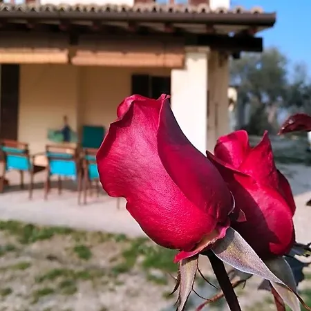 Couette-café Conca Del Pretore Loreto Aprutino