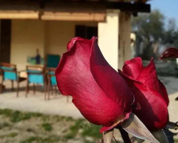 فندق مبيت وإفطار Conca Del Pretore