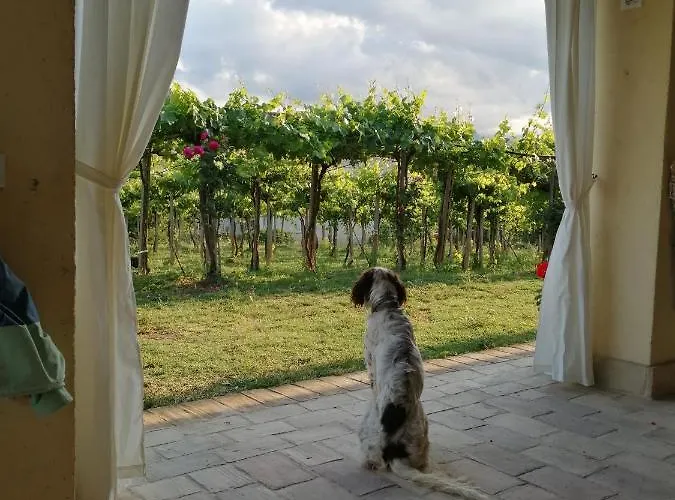 Conca Del Pretore فندق مبيت وإفطار